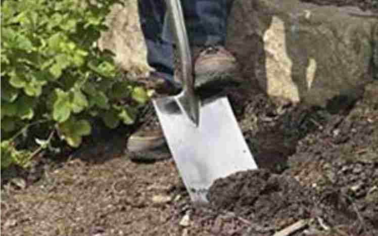 Best Spade to Use for Gardening