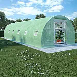 Polytunnel Greenhouses
