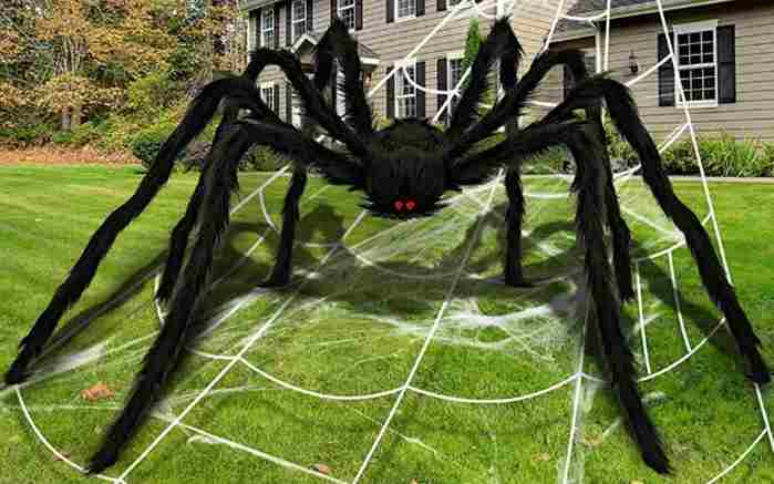 How To Keep Spiders Off Garden Furniture