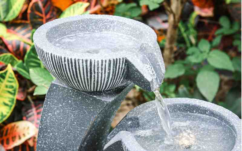 How to Use a Water Feature to Attract Wildlife to Your Garden