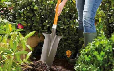 Removing Deep Rooted Weeds Made Easy