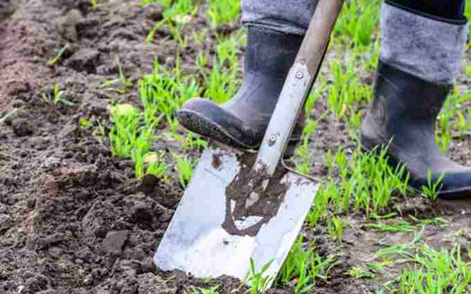 What Hand Tools To Dig Hard Soil